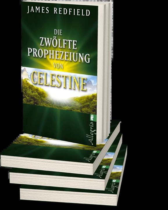 Actual product image Die zwölfte Prophezeiung von Celestine (German, James Redfield, 2012)
