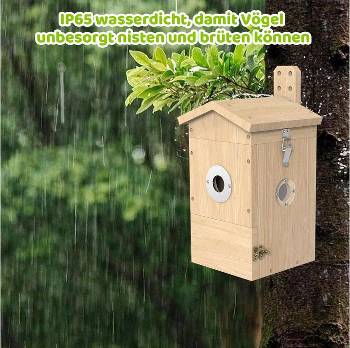 Actual product image Sanilu Clean Sanilu Vogel Nistkasten mit Kamera, Tierart: Vogel, Produkttyp