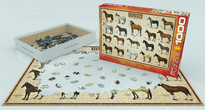 Actual product image Eurographics Horses (1000 pieces)