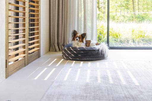 Productafbeelding Designed by Lotte Reza ligkussen (Hond)