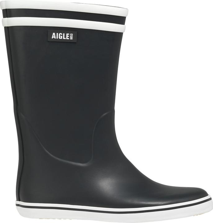 Aigle Malouine 2
