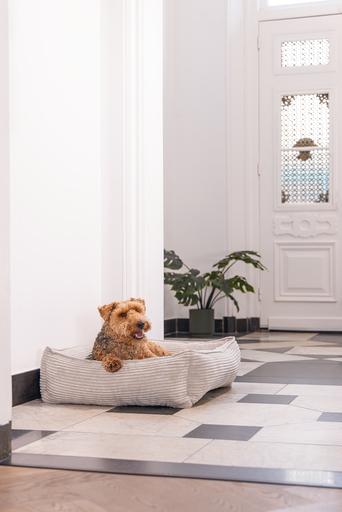 Actual product image Designed by Lotte Ribbed divan bed (Dog)
