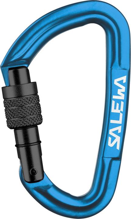 Salewa Hot G3 Screw