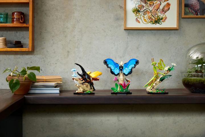 Immagine prodotto LEGO Idee La collezione di insetti (21342, LEGO Ideas)