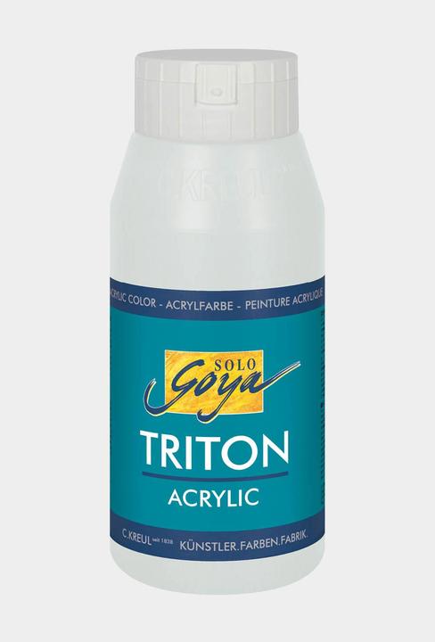 Image du produit Solo Goya Acrylique Triton (Argent, 750 ml)