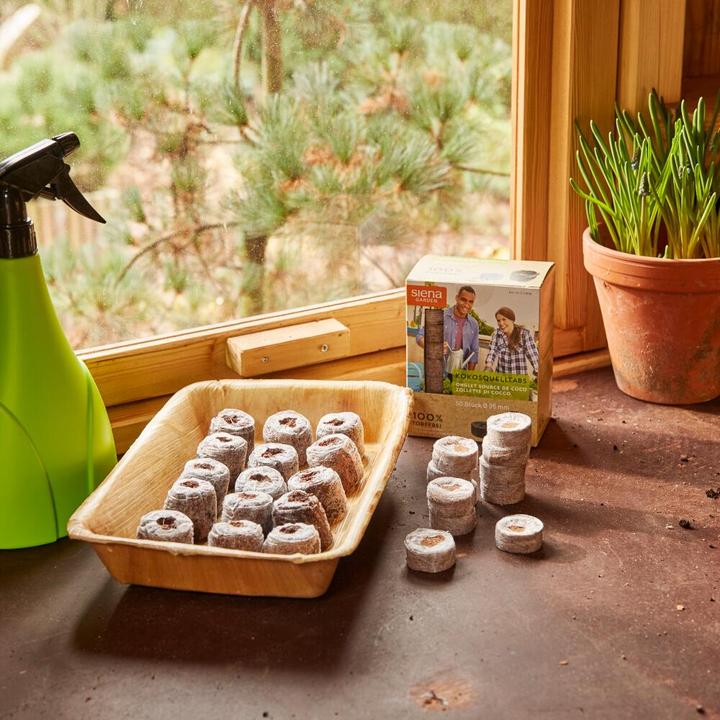Actual product image Siena Garden Pickle bowl