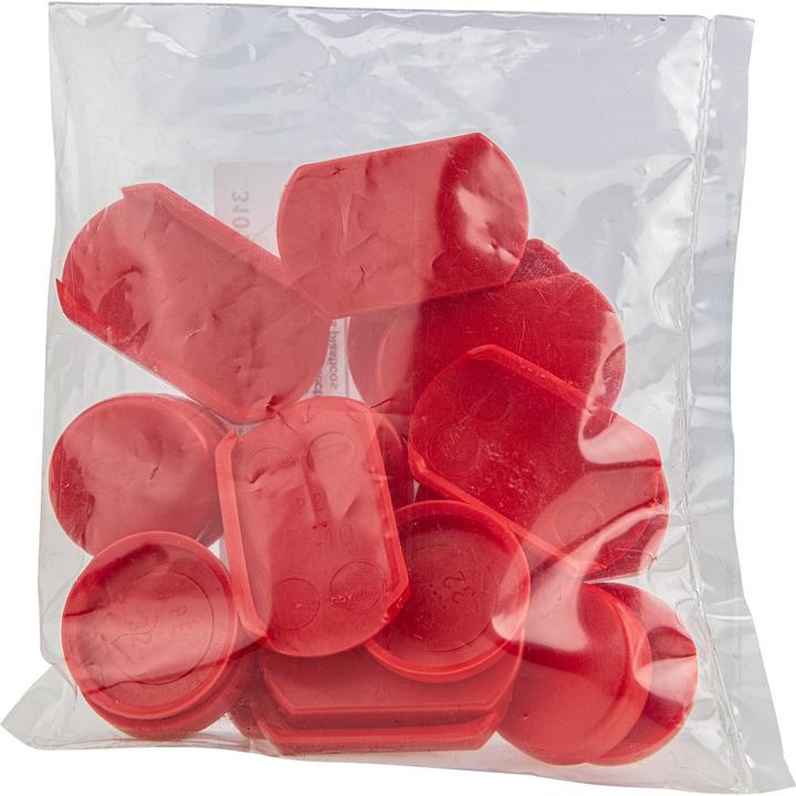 Actual product image Bessey Protective cap set (TG, Ausladun (100 mm)