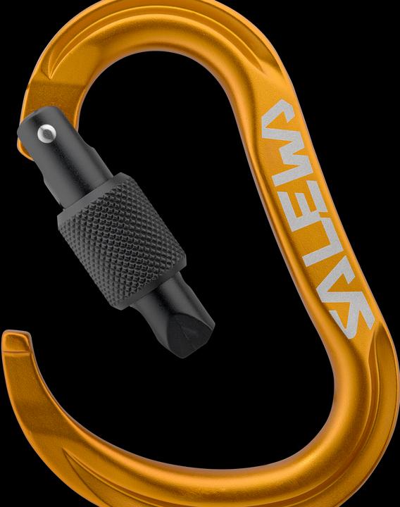 Image du produit Salewa Ortles Hms M Carabiner