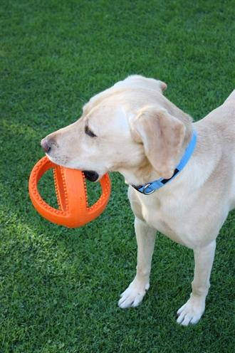 Immagine prodotto Happy Pet Grubber Interactieve Voetbal Oranje (Reperimento)