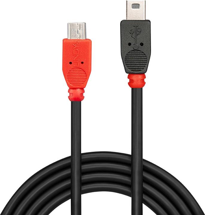 Actual product image Lindy USB cables (0.50 m, USB 2.0)