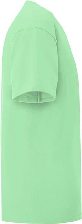 Image du produit Fruit of the Loom UTBC4731 P (164)