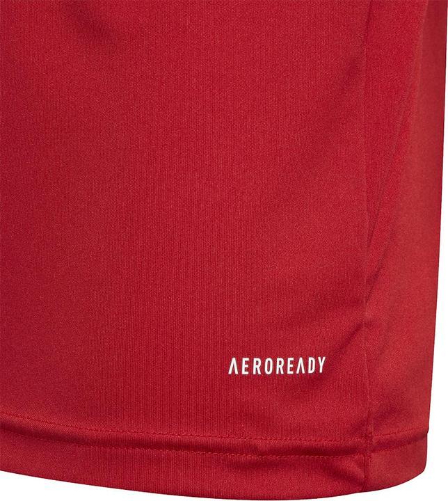 Produktbild adidas Squadra 21 Polo Kinder (116)