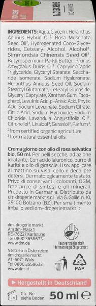 Image du produit dm alverde Rose sauvage bio (50 ml, Crème de jour)
