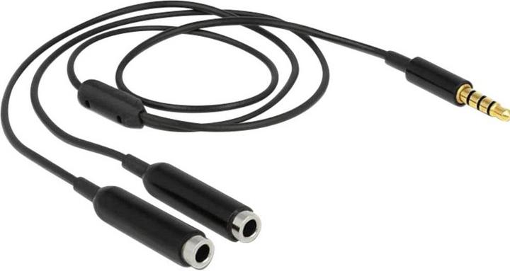 Image du produit Delock Câble répartiteur audio 3.5 mm jack - 2x 3.5mm femelle (0.25 m, 2,5 mm)