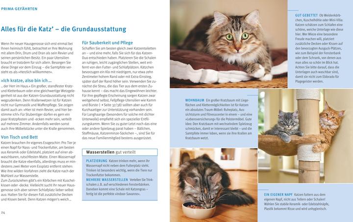 Image du produit Katzen (Allemand, Brigitte Eilert-Overbeck, 2016)