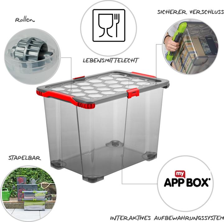 Actual product image Rotho Evo Safe Keeping (59 x 39.5 x 41 cm, 65 l)