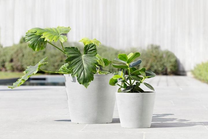 Actual product image Ecopots Amsterdam (26.30 cm)