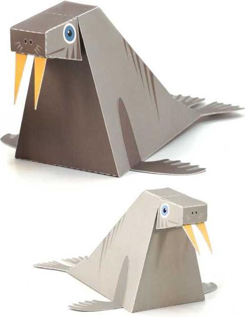 Actual product image Pukaca Paper toy. Maxi walrus (German)