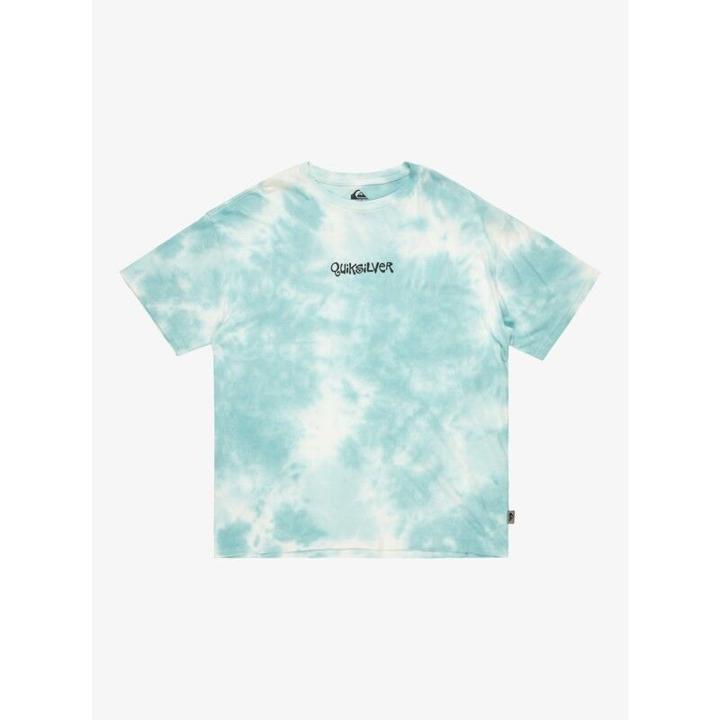 Actual product image Quiksilver TD Frog Ritual S/S Tee (S)