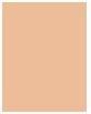 Produktbild MAC Cosmetics Studio Fix Fluid (NC15)