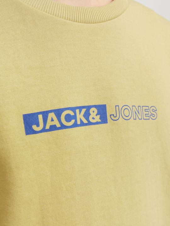 Produktbild Jack & Jones Gedruckt Sweatshirt mit Rundhals Für jungs Sweatshirt mit Rundhals (164)