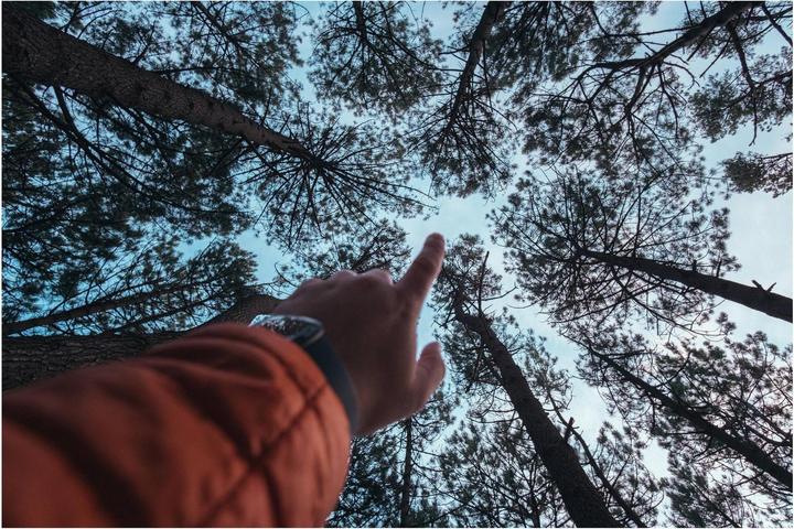 Immagine prodotto Samyang AF 12mm f/2 Fujifilm X (Fujifilm X, APS-C / DX)