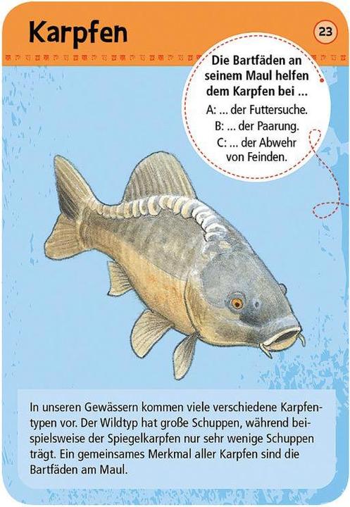 Produktbild Expedition Natur 50 heimische Tiere & Pflanzen an Bach & Teich (Deutsch)