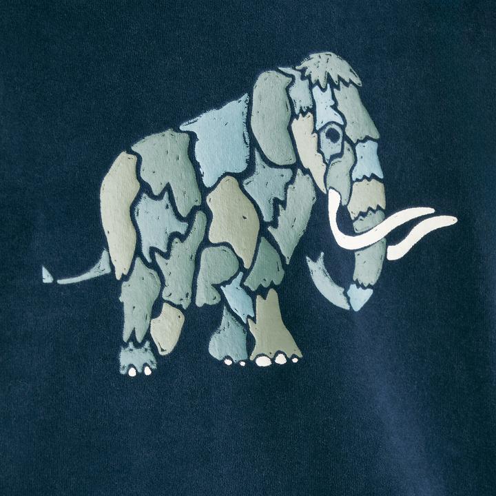 Actual product image La Redoute Collections Velvet pyjamas with mammoth print (94)