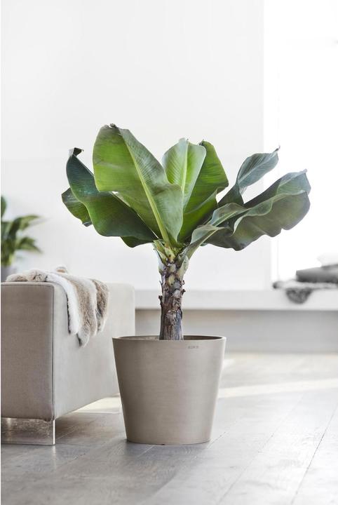 Actual product image Ecopots Amsterdam (40 cm)