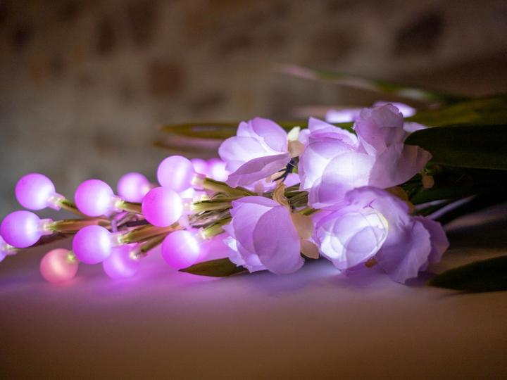 Produktbild Europalms Aronstab 3er Set mit LEDs, pink, 85cm (85 cm)