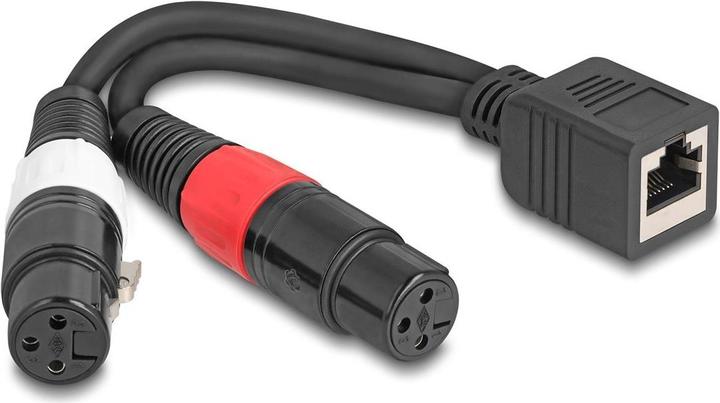 Actual product image Delock Adapter cable RJ45 socket to 2 x XLR 3 pin socket black 20 cm (88178) (0.20 m)