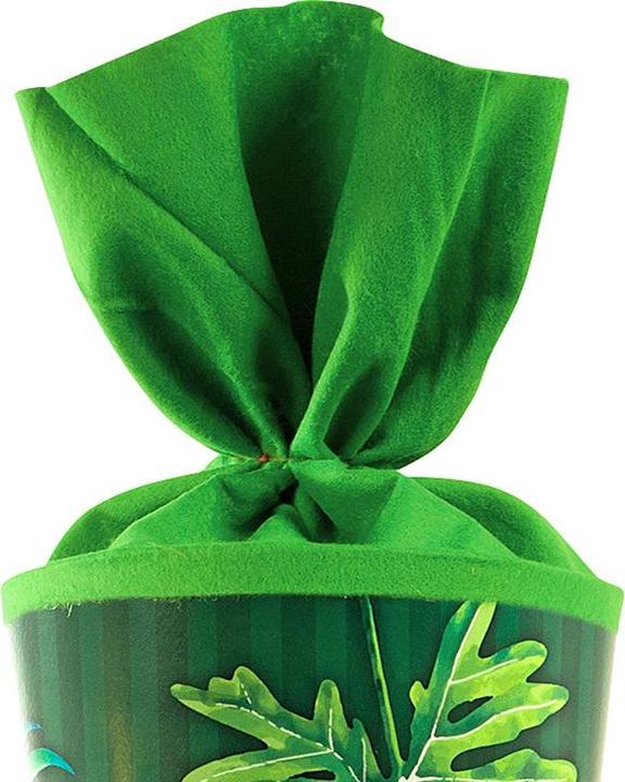 Immagine prodotto Goldbuch Cono scolastico 3D T-Rex 70 cm (70 cm, 1 x)