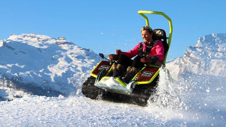 Immagine prodotto Azione invernale Tour di Ziesel (12 pers.)