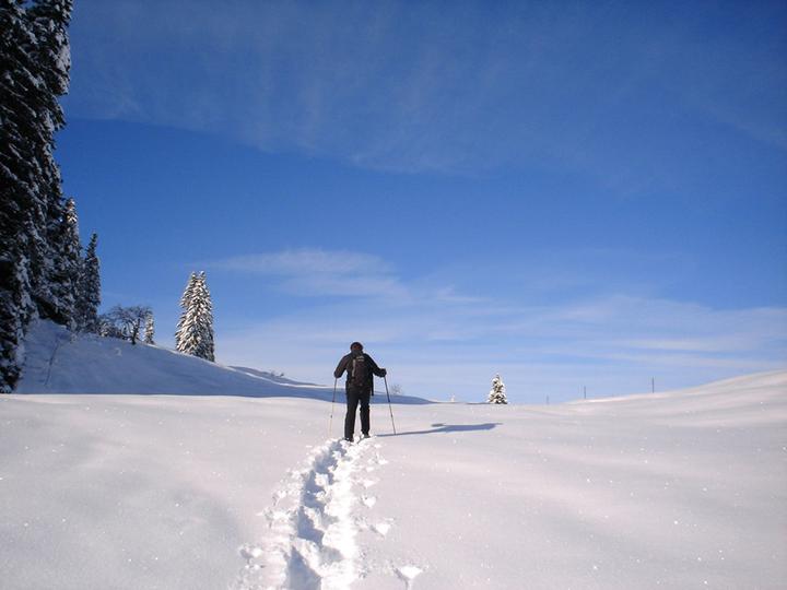 Actual product image Snowshoe hiking week