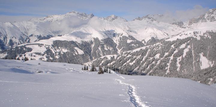 Actual product image Snowshoe hiking week