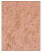 Actual product image Bourjois Ombre Á Paupiéres (02 Iridesc'sand)