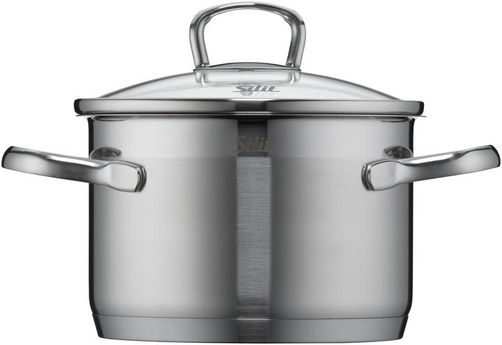 Actual product image Silit Saucepan Set Induction Cooking Saucepan Set 4pcs Glass Lid Tuscany Stainless Steel (20 cm, Pan set + pot set, Stainless steel)