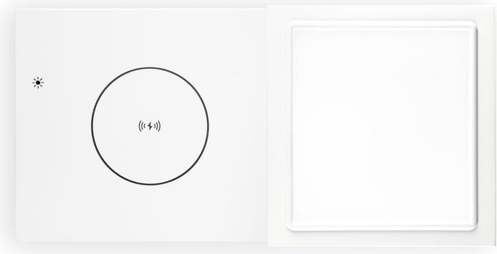 Actual product image Tivoli Audio Revive White/Grey (Electrical connection)