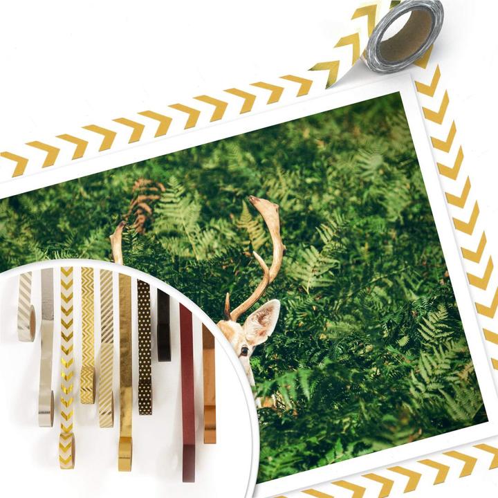Actual product image Trenddeko Hide and seek in the forest (50 x 40 cm)