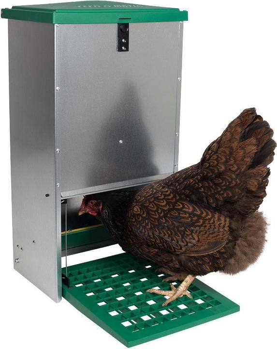 Image du produit Mainer Distributeur automatique de nourriture Feedomatic avec marchepied
