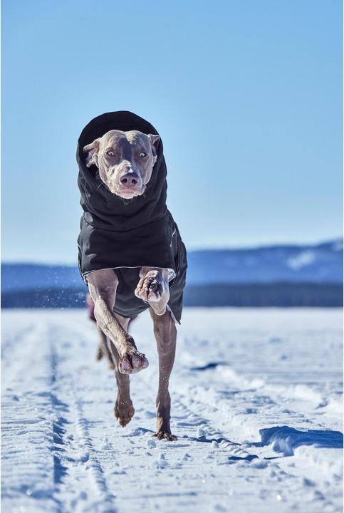 Image du produit Hurtta Extreme Warmer V3 Eco Noir, 25 cm (25, Manteau pour chien)