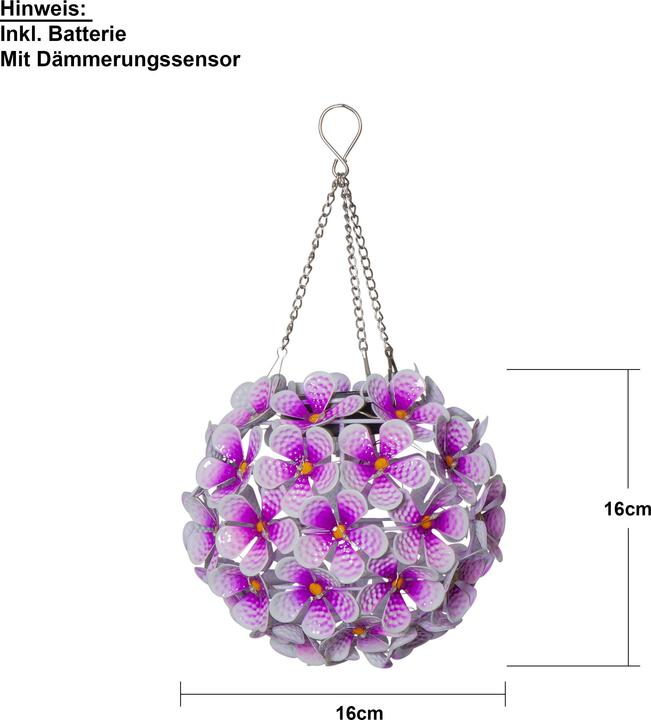 Image du produit Star Trading Hortensia (IP44)
