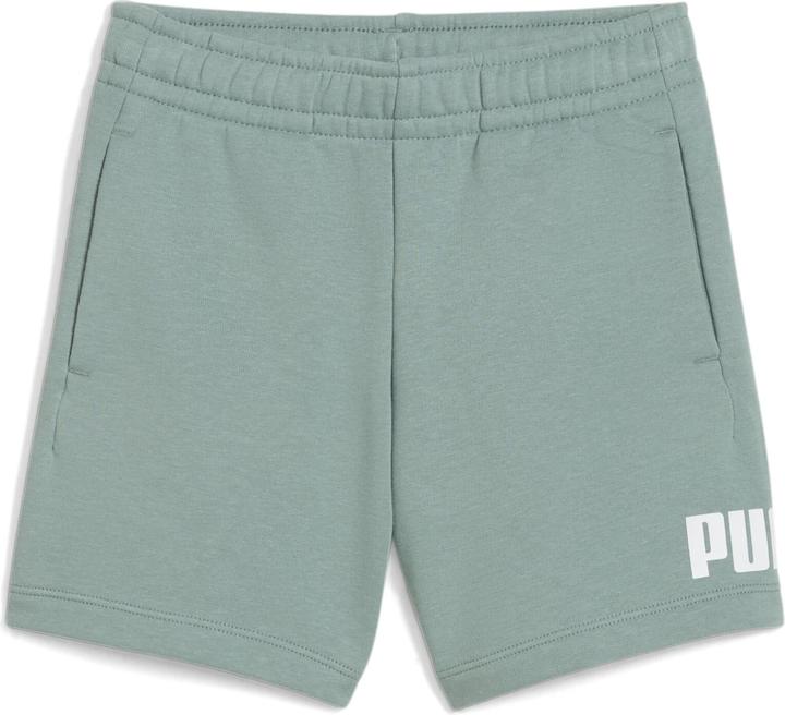 Actual product image Puma ESS No. 1 Logo Shorts TR PS (98)