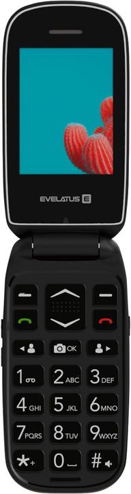 Produktbild Evelatus WAVE 2020 DS EW02RD (2.40", 0.30 Mpx)