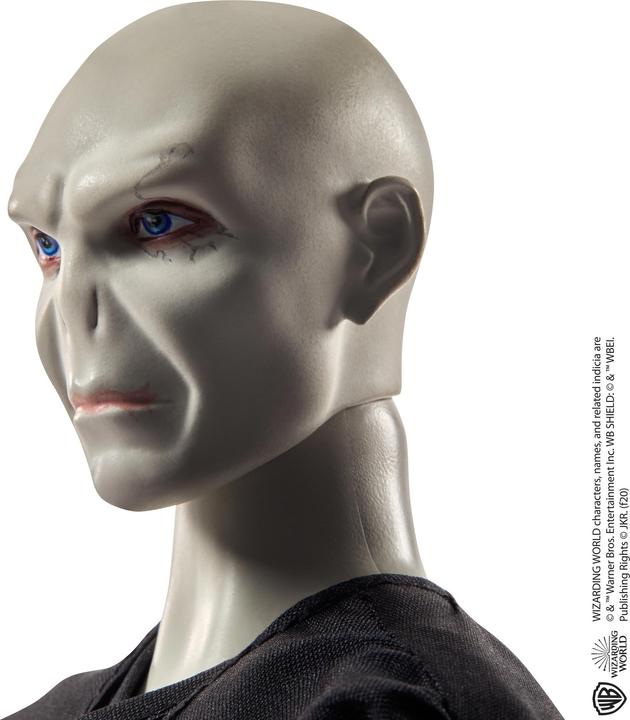 Actual product image LORD VOLDEMORT and Dolls