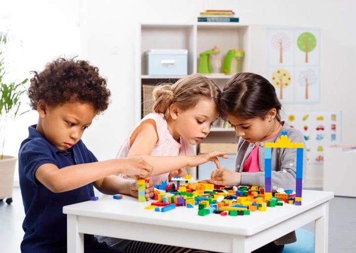 Actual product image LEGO Creative stone set (45020, LEGO Education)