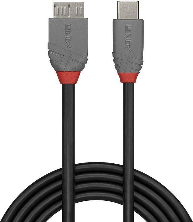 Actual product image Lindy USB 3.2 Type C to Micro-B Cable, Anthra Line (2 m)