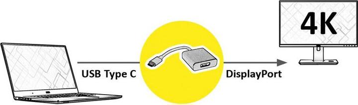 Actual product image Roline USB-C to (DP, 10 cm)