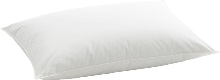 Billerbeck Organic Goose Soft (65 x 65 cm)