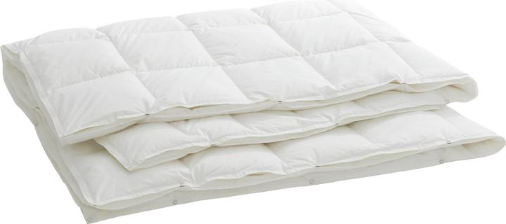 Produktbild Billerbeck Organic Goose 4-Saisons (450 g, 160 x 210 cm)